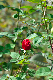 image0278
