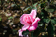image0279