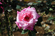 image0280