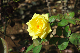 image0281
