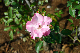 image0282