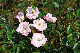 image0283