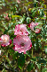 image0284