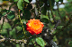 image0285