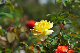 image0287