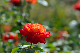 image0289