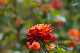 image0290