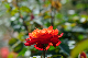 image0291