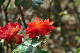 image0292