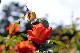 image0293