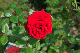 image0295