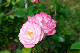 image0297