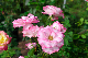 image0298