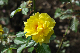 image0301