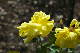 image0302