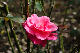 image0303
