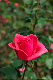 image0304