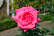 image0305