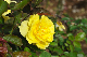 image0307