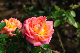 image0308