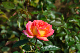 image0310