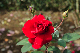 image0311