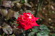 image0312
