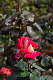 image0313