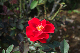 image0314