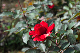 image0315