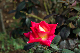image0316