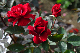 image0317
