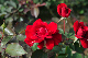 image0318