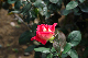 image0320
