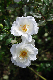 image0322