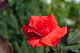 image0323