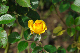 image0324