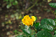 image0325