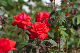 image0327