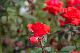 image0328