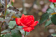 image0329