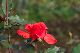 image0330