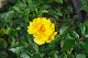 image0331