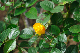 image0332