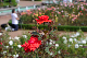 image0333