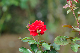 image0340