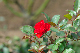 image0341