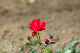 image0342