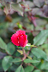image0344
