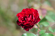 image0346